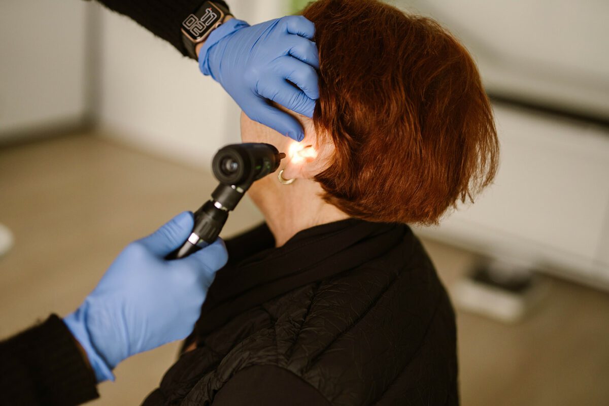 Het programma van de opleiding